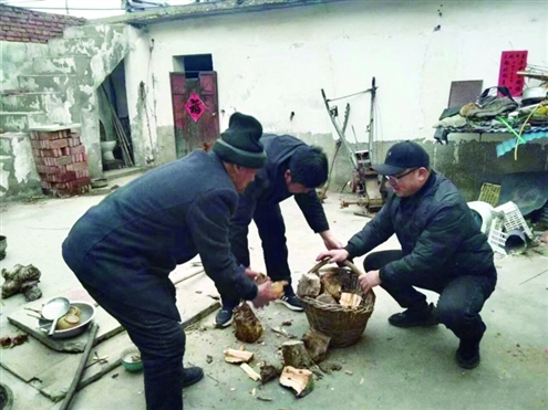 姜鹏和徐志杰在帮姜书国砍柴